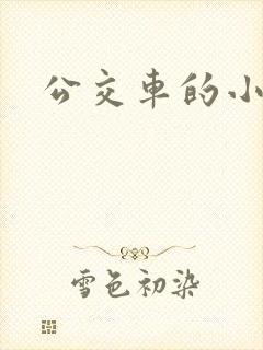 公交车的小说