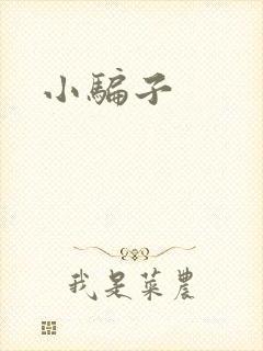 《小骗子》小说封面