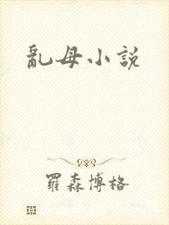 乱母小说