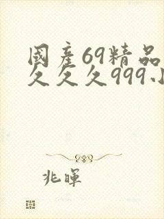 国产69精品久久久久999小说