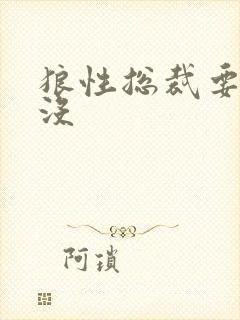 狼性总裁要够了没