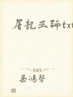 屠龙巫师txt
