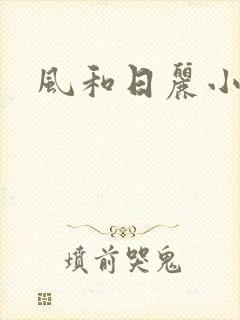 风和日丽小说