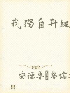 我独自升级小说