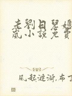 老刘日儿媳妇张岚小说免费阅读