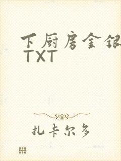 下厨房金银花露 TXT