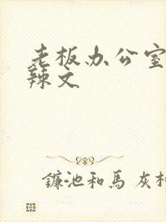 老板办公室系列辣文