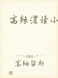 高辣浓情小说