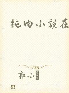 纯肉小说在线封面