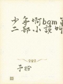 少年啊bgm第二部小说叫什么