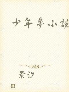 少年梦小说