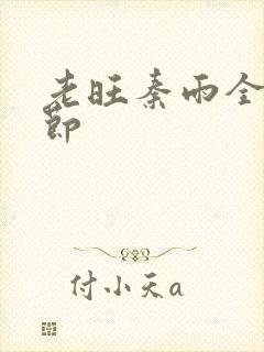 老旺秦雨全部章节