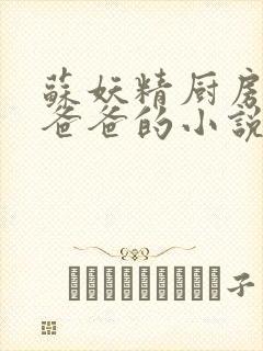 苏妖精厨房爹爹爸爸的小说