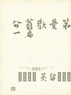 公翁欢爱第三十一篇
