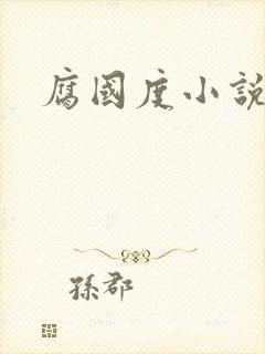 腐国度小说
