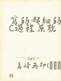 写的超细的多肉C过程原耽