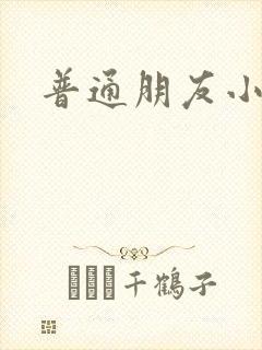 普通朋友小说封面