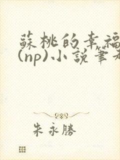 苏桃的幸福生活(np)小说笔趣阁沐沐封面