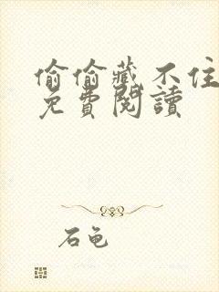 偷偷藏不住小说免费阅读