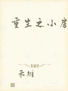 重生之小房东