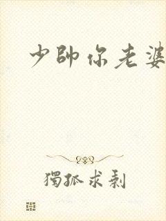 少帅你老婆