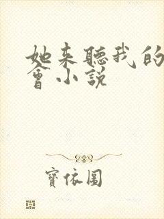 她来听我的演唱会小说