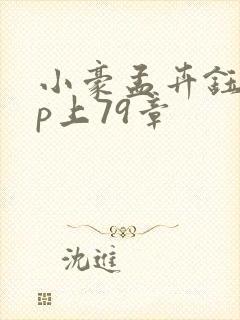 小豪孟卉钰慧三p上79章