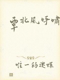 西北风呼啸的中午封面