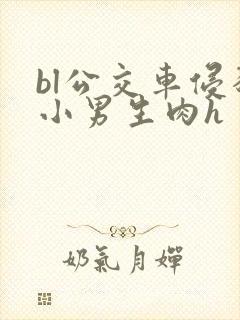 bl公交车侵犯小男生肉h