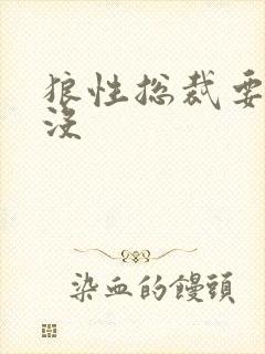 狼性总裁要够了没