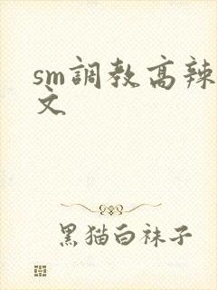 sm调教高辣h文