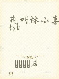 我叫林小喜小说txt