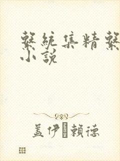 系统集精系统 小说