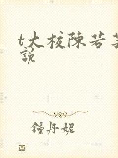 t大校陈若芸小说