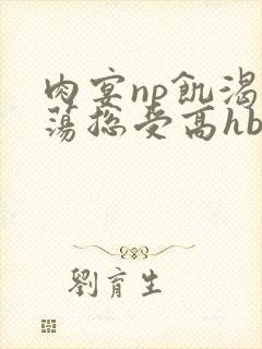 肉宴np饥渴放荡总受高hbl
