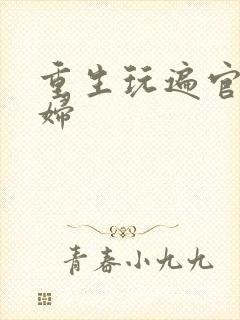 重生玩遍官场贵妇