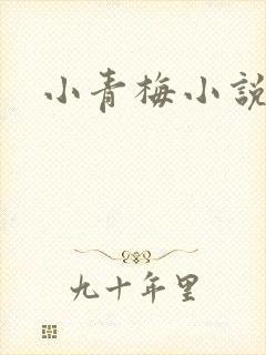 小青梅小说