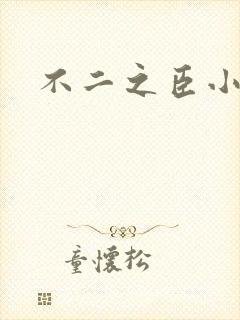 不二之臣小说