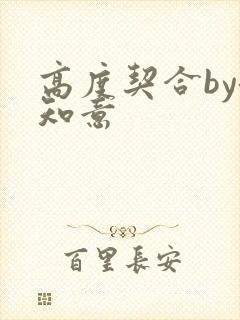 高度契合by洛知意封面