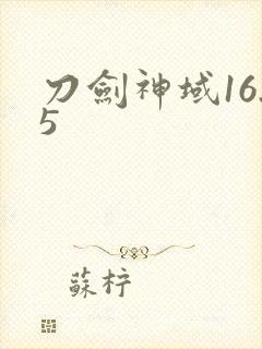刀剑神域16.5