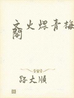 《文火煨青梅笔趣阁》小说封面