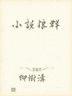小说狼群
