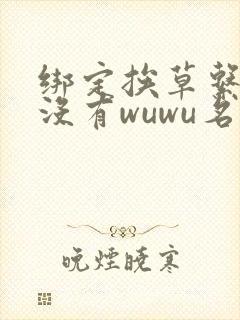 绑定挨草系统后没有wuwu名字