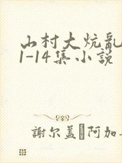 山村大炕乱肉续1-14集小说