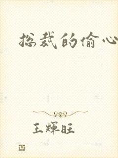 总裁的偷心娇妻