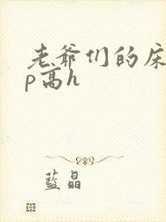 老爷们的床奴np高h