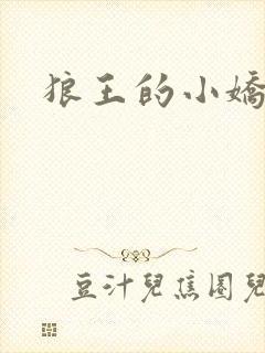 狼王的小娇妻