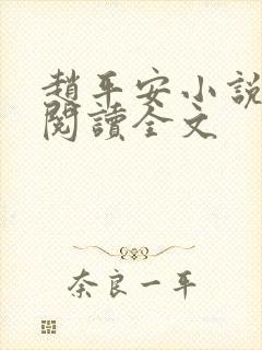 赵平安小说免费阅读全文