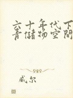 六十年代下乡知青储物空间