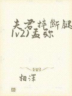 夫君摔断腿后(1v2)孟弥